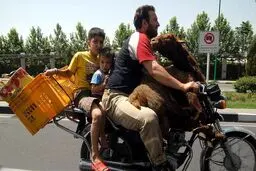 حمل همزمان گوسفند و دو کودک با موتور!/عکس
