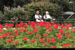عکس/ تهران بعد از بارش باران