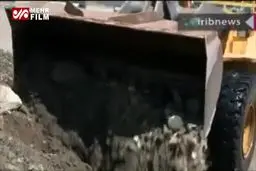 ببینید: پایتخت آماده بارش‌های جدید