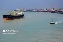 واردات خوراک دام و طیور در بندر امام خمینی (ره)/تصاویر