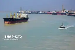 واردات خوراک دام و طیور در بندر امام خمینی (ره)/تصاویر