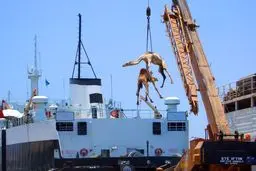 17 حقیقت شگفت‌آور درباره‌ عربستان+عکس