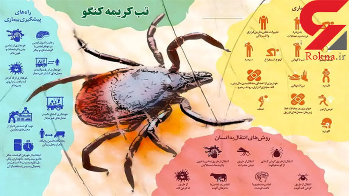 تب کریمه کنگو در کمین مردم ایران