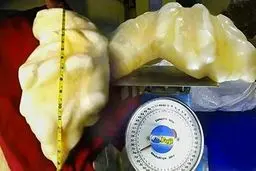 معجزه در زندگی فقیر فلیپینی / عکس