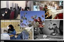83 درصد زنان ایرانی بیکارند/کاهش شدید آمار استخدام زنان در وزارتخانه‌ها