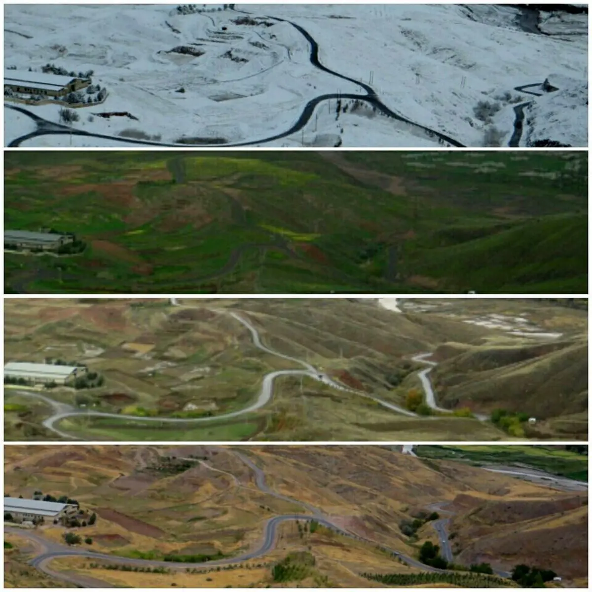 چهار فصل در یک قاب /  عکس