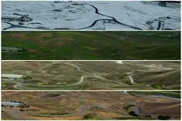 چهار فصل در یک قاب /  عکس