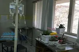 ابتکار جالب یک خانم خوش‌ذوق /عکس