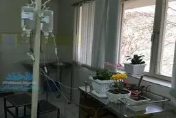 ابتکار جالب یک خانم خوش‌ذوق /عکس