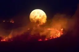 تصاویری از آتش‌سوزی در منچستر انگلیس
