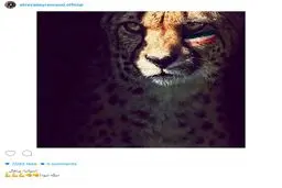 واكنش متفاوت عليرضا بيرانوند به گروه ايران در جام جهانى/عکس