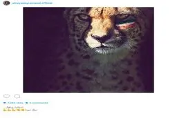 واكنش متفاوت عليرضا بيرانوند به گروه ايران در جام جهانى/عکس