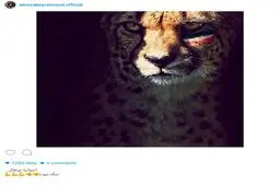 واكنش متفاوت عليرضا بيرانوند به گروه ايران در جام جهانى/عکس