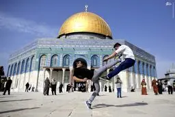 صحنه‌ای جالب در صحن بیت‌المقدس/عکس
