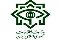 پنج تیم جاسوسی توسط وزارت اطلاعات متلاشی شد