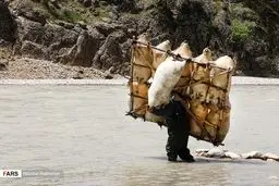عکس/ عبور از رودخانه با پوست گوسفند