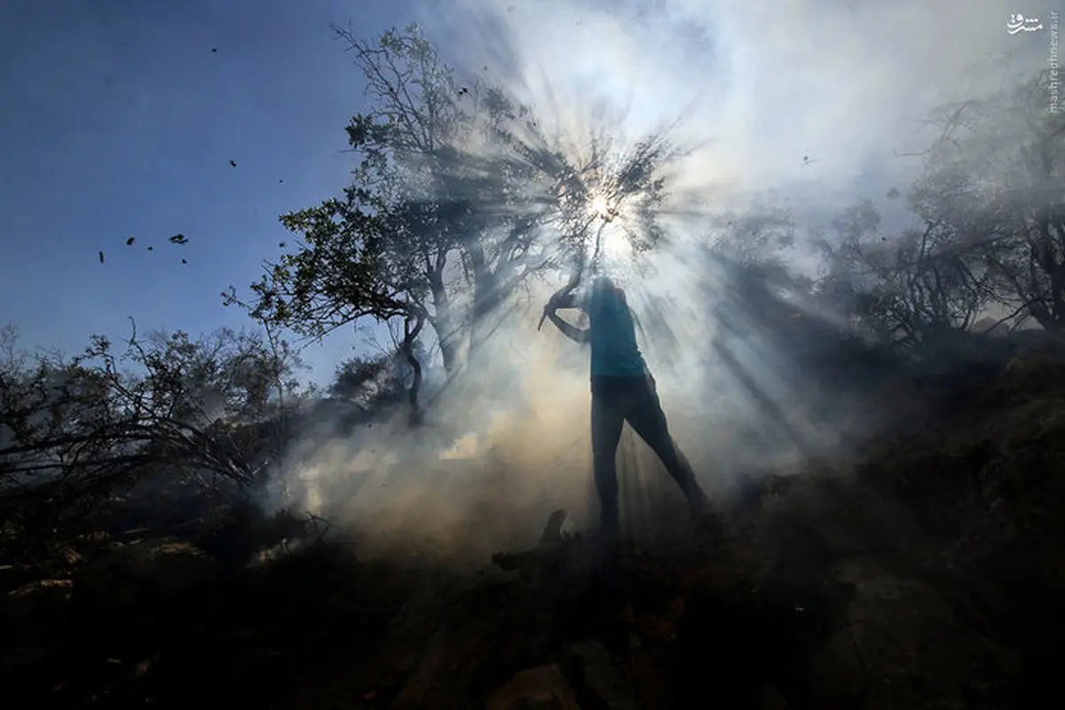 آتش سوزی در جنگل‌های پاسارگاد/ تصاویر
