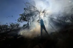 آتش سوزی در جنگل‌های پاسارگاد/ تصاویر