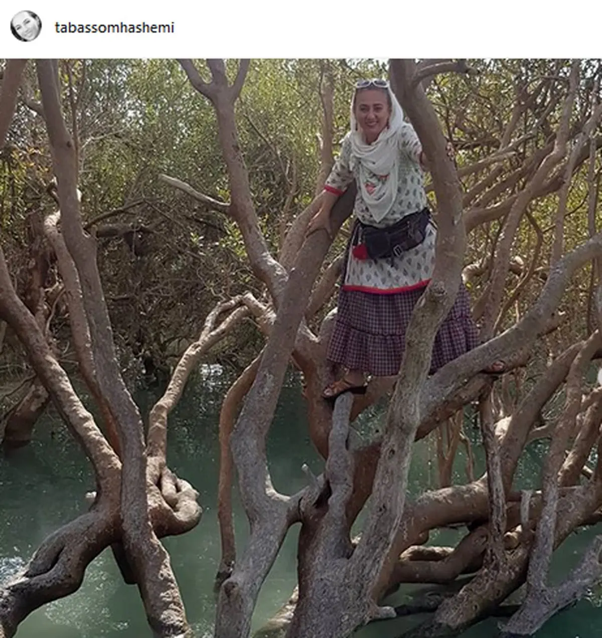 خانم بازیگر بالای درخت! +عکس
