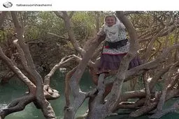 خانم بازیگر بالای درخت! +عکس