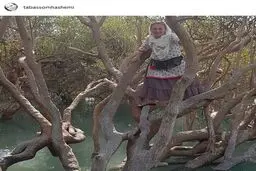 خانم بازیگر بالای درخت! +عکس