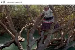 خانم بازیگر بالای درخت! +عکس
