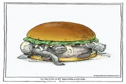 ترامپ برگر!/ کاریکاتور