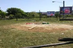 تنهایی تلخ اولادی/ عکس