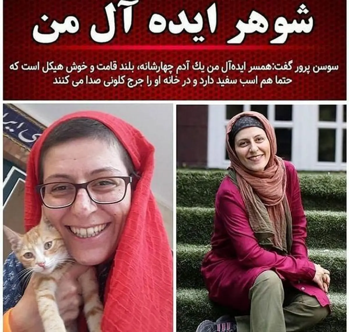 شوهر ایده آل سوسن پرور + عکس