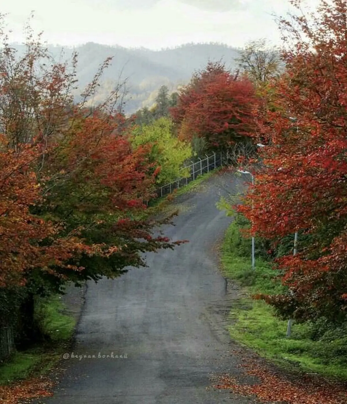 جاده‌ای دیدنی در تالش/ عکس