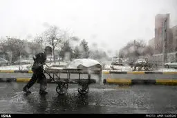 بارش برف، چهره شهر تبریز را سفیدپوش کرد /تصاویر