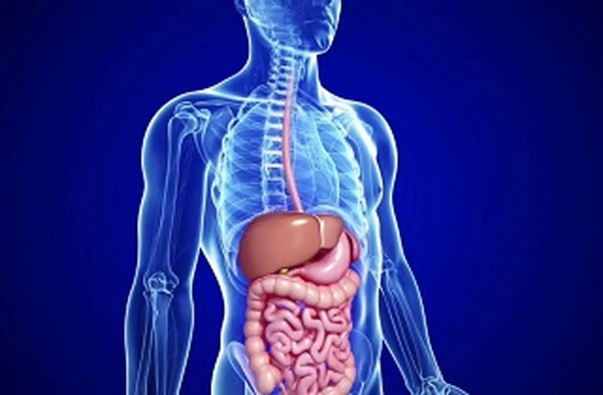 6مشکل ساده دستگاه گوارش که حتما باید جدی بگیرید!