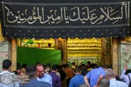 مراسم سیاه پوش کردن حرم حضرت علی(ع)/تصاویر