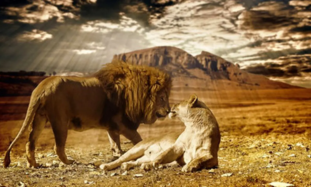 عجیب و دیدنی از دنیای حیوانات/تصاویر