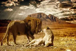 عجیب و دیدنی از دنیای حیوانات/تصاویر