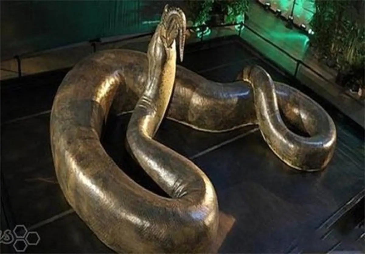 بزرگترین مار در طول تاریخ + تصاویر