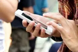 بهترین خوراکی برای کم کردن خطرات استفاده طولانی مدت از موبایل