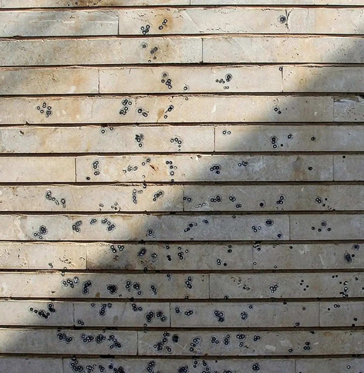 تصویری از یادگاری بر‌جا مانده روی دیوار از حادثه تروریستی اهواز