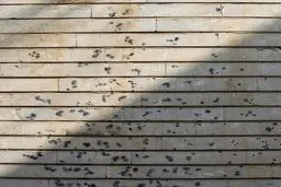 تصویری از یادگاری بر‌جا مانده روی دیوار از حادثه تروریستی اهواز