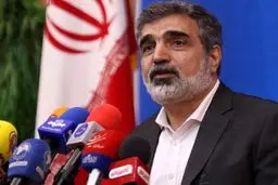 کمالوندی: اگر منافع‌مان ایجاب کند که برجام نباشد از آن خارج خواهیم شد/  بازرسی که به او اجازه ورود به نطنز را ندادیم، یا آغشته به مواد بود یا موادی همراه او بود