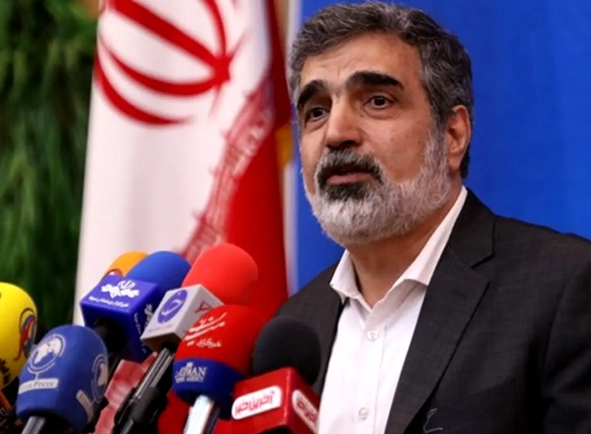کمالوندی: اگر منافع‌مان ایجاب کند که برجام نباشد از آن خارج خواهیم شد/  بازرسی که به او اجازه ورود به نطنز را ندادیم، یا آغشته به مواد بود یا موادی همراه او بود
