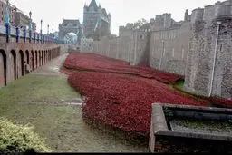 یکصدمین سالگرد پایان جنگ جهانی اول /گزارش تصویری