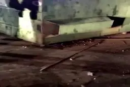 آرا نظامیان ترامپ در سطل زباله در جورجیا پیدا شد +فیلم