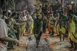 جشنواره راه رفتن روی ذغال داغ/تصاویر