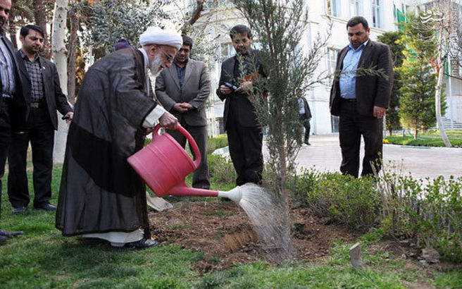 کاشت سرو شیرازی به دست آیت‌الله جنتی/عکس