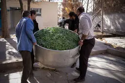 طبخ آش 80 تنی در شیراز/ تصاویر