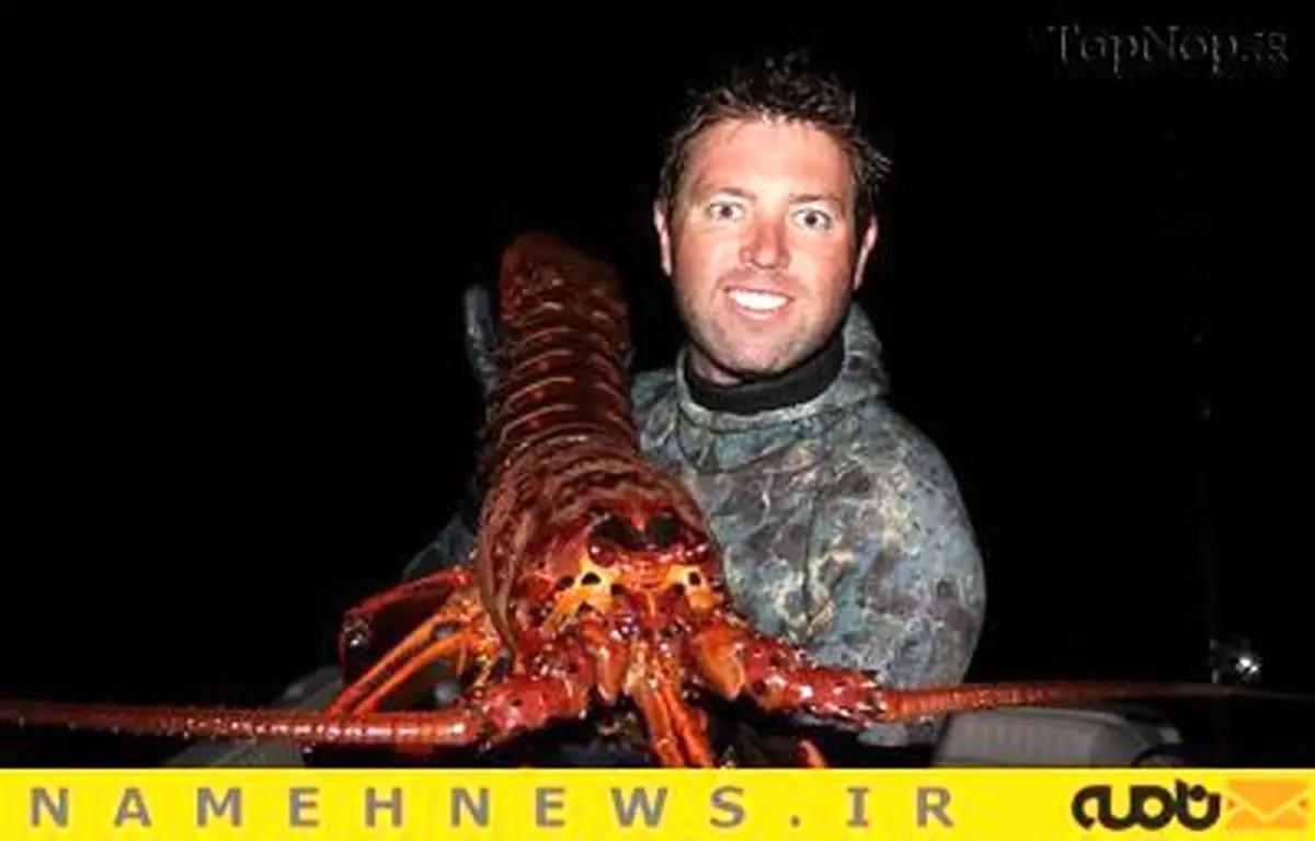 خرچنگی به اندازه یک سگ!+تصاویر