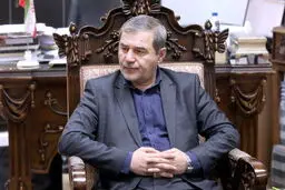 نامور مطلق از شورای جهانی صنایع دستی هم انصراف داد