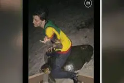 زن لاک پشت سوار در چنگ قانون! + تصاویر