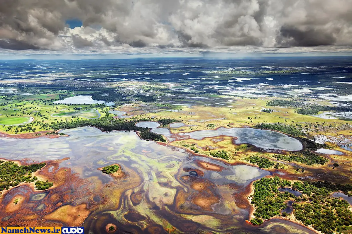 این تصاویر حتما شما را شگفت زده خواهد کرد